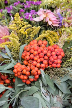 Güzel çiçek buketleri ve bitkiler