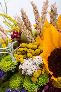 Güzel çiçek buketleri ve bitkiler