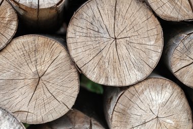 arka planını woodpile yığılmış yakacak odun