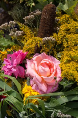 Güzel çiçek buketleri ve bitkiler
