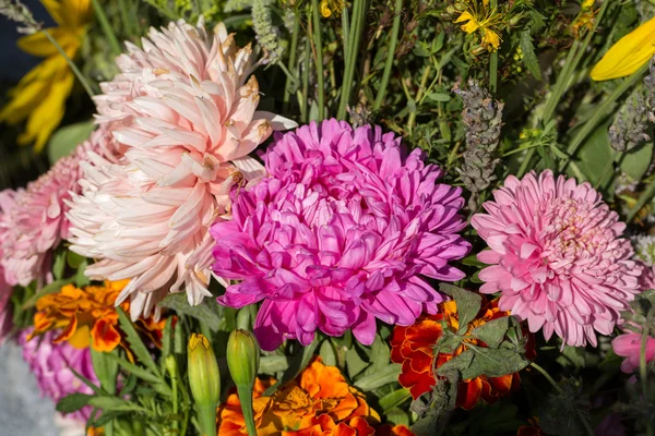 Mooie boeketten van bloemen en kruiden — Stockfoto