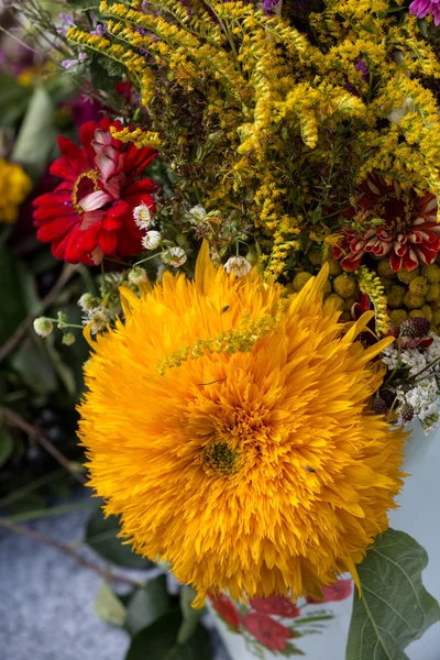 Schöne Blumensträuße und Kräuter — Stockfoto