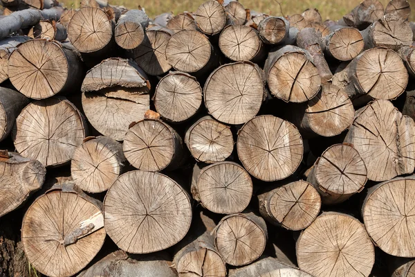 Background of firewood stacked in the woodpile — Stock Photo, Image