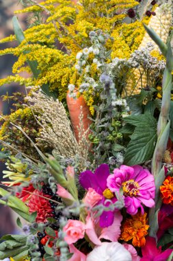 Güzel çiçek buketleri ve bitkiler