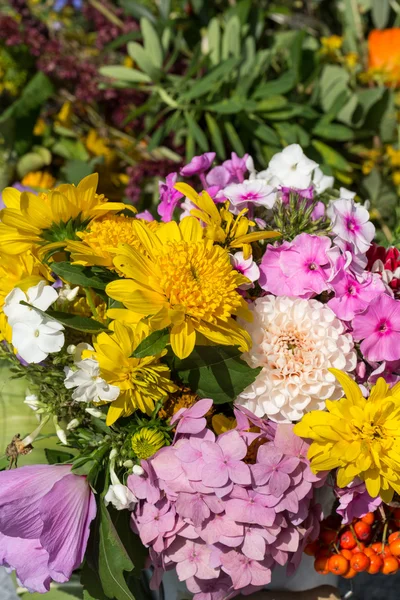 Beautiful bouquets of flowers and herbs — Stock Photo, Image