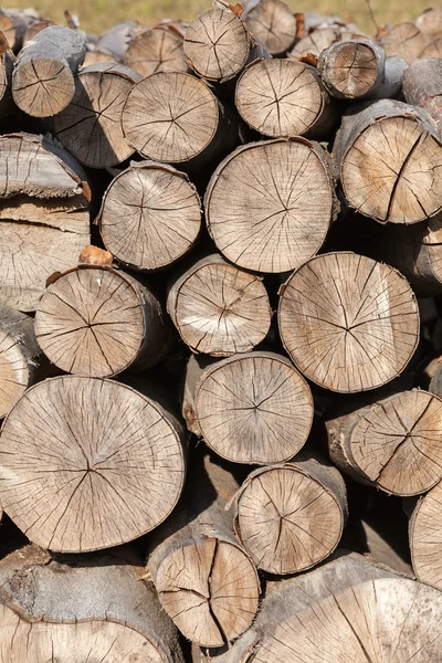 Background of firewood stacked in the woodpile — Stock Photo, Image