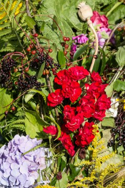 Güzel çiçek buketleri ve bitkiler