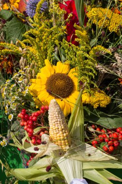 Güzel çiçek buketleri ve bitkiler