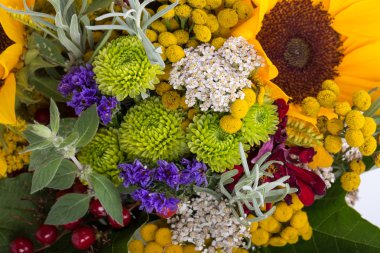 Güzel çiçek buketleri ve bitkiler
