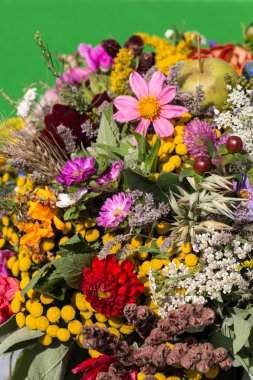 Güzel çiçek buketleri ve bitkiler