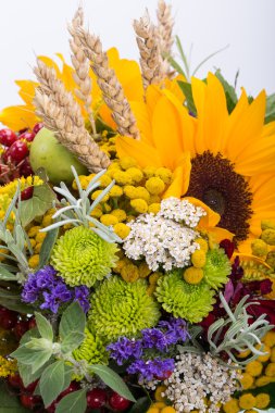 Güzel çiçek buketleri ve bitkiler