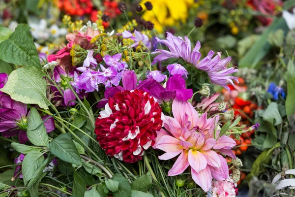 Schöne Blumensträuße und Kräuter — Stockfoto