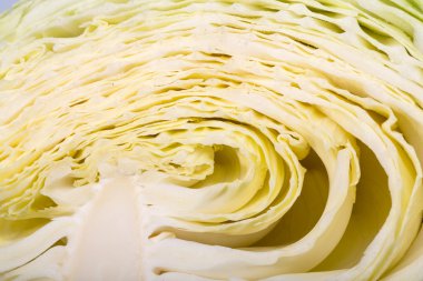 Beyaz lahana, doku içinde kıvırcık yüzey gösterilen kesilmiş beyaz lahana