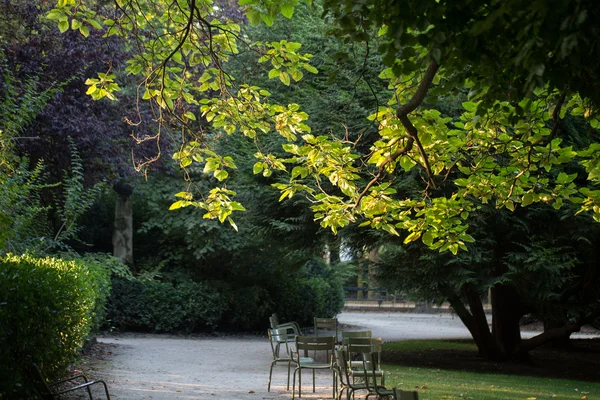 Morning  in the Gardens of Luxembourg, Paris — Stock Photo, Image