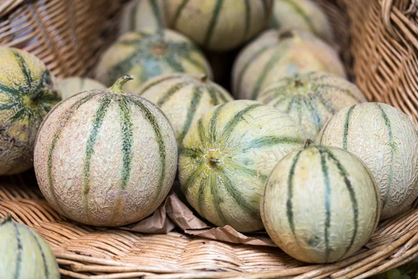 Cantaloupes Melões em uma banca de mercado — Fotografia de Stock