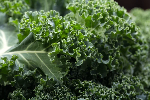 A healthy fresh curly kale — Stock Photo, Image