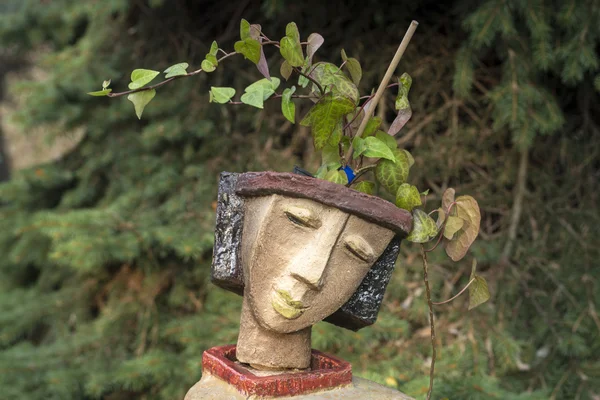 女性头部形状的花盆 — 图库照片