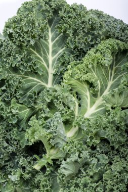 Sağlıklı taze kıvırcık lahana