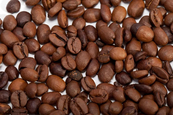 Grãos de café fechar isolado em branco — Fotografia de Stock