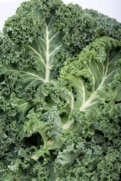 Sağlıklı taze kıvırcık lahana