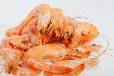 Beyaz bir arka plan üzerinde izole taze karides
