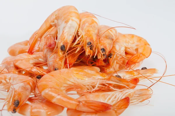 Fresh shrimp  isolated on a white background — Stock Photo, Image