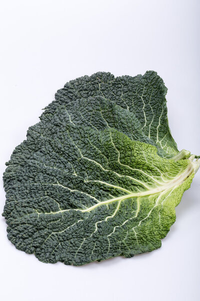 Fresh savoy cabbage leaf as a texture