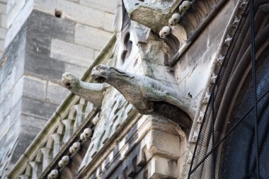 Paris - Notre Dame Katedrali Kuzey yan duvarında gargoyles