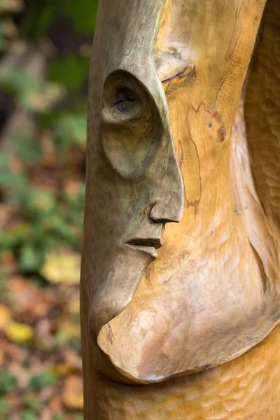 Primaeval Slawic 物語から妖精のような木彫の人物像 — ストック写真