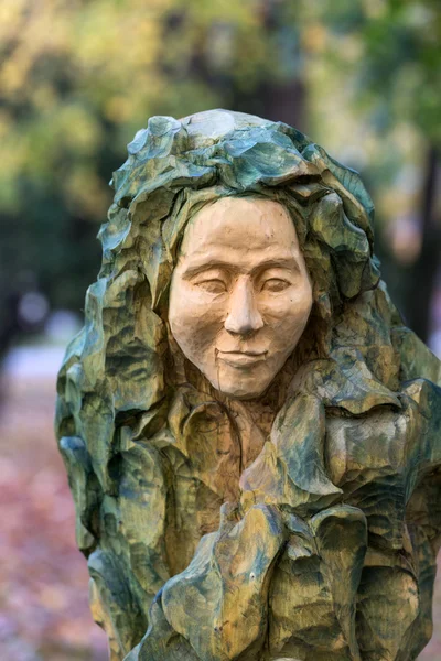 Figuras de madeira parecidas com fadas de contos eslavos primitivos — Fotografia de Stock