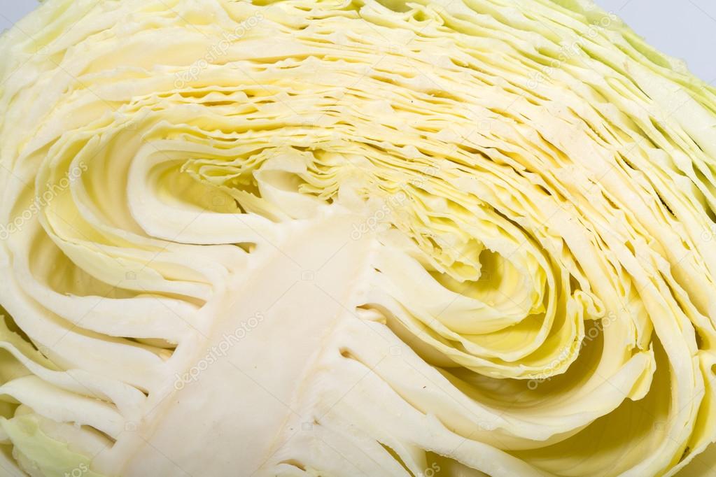 white cabbage, texture of cut white cabbage showing inside curly