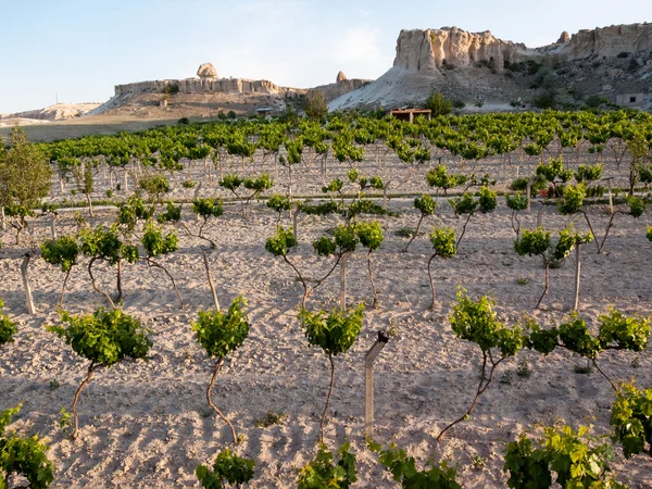 Cappadocië, Turkije. — Stockfoto