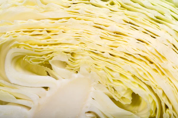 Chou blanc, texture du chou blanc coupé montrant à l'intérieur une surface bouclée — Photo