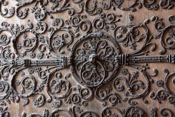 Dveře detail notre Dame de paris — Stock fotografie