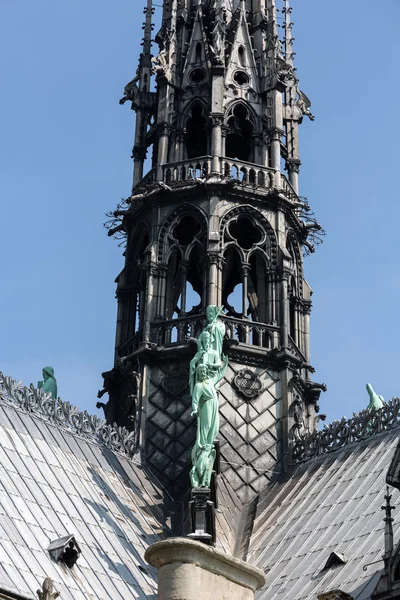 El techo de Notre Dame en París —  Fotos de Stock