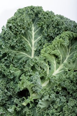 Sağlıklı taze kıvırcık lahana