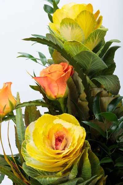 Украшенная капуста с желтыми, оранжевыми и зелеными листьями — стоковое фото