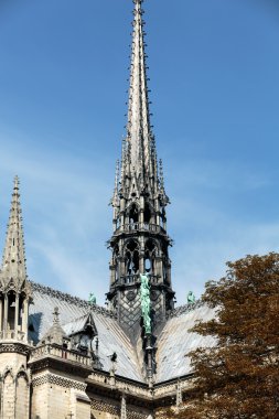 Notre Dame de Paris Katedrali. Fransa
