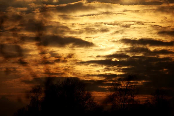 Sunset with beautiful golden sky — Stock Photo, Image