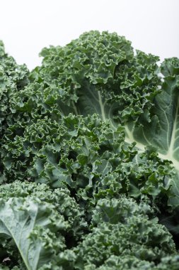 Sağlıklı taze kıvırcık lahana