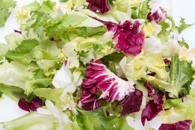 Yeşil ve kırmızı yaprak marul. Beyaz bir arka plan üzerinde izole