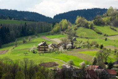 Pastoral kırsal görünümü yavaşça haddeleme patchwork tarım arazisi