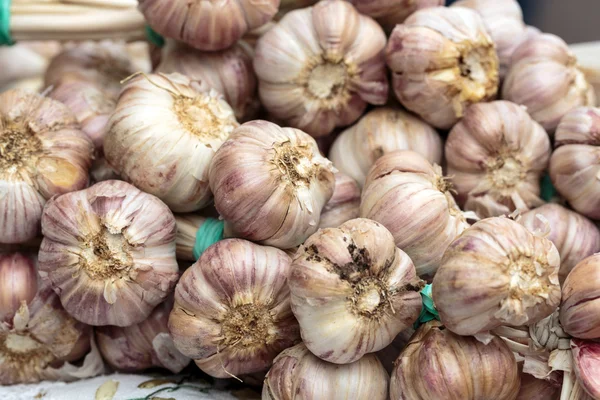 Close up de bulbos de alho fresco — Fotografia de Stock