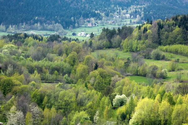 Idilli vidéki kilátást lankás patchwork termőföld — Stock Fotó