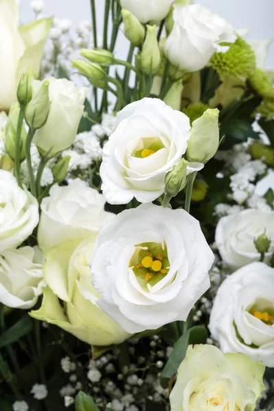 Nahaufnahme weißer Rosen — Stockfoto