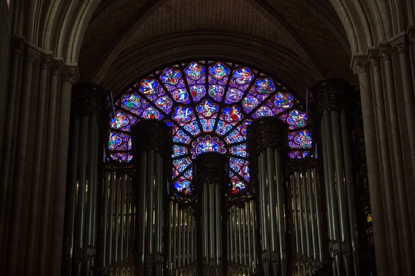 巴黎，巴黎圣母院大教堂. — 图库照片