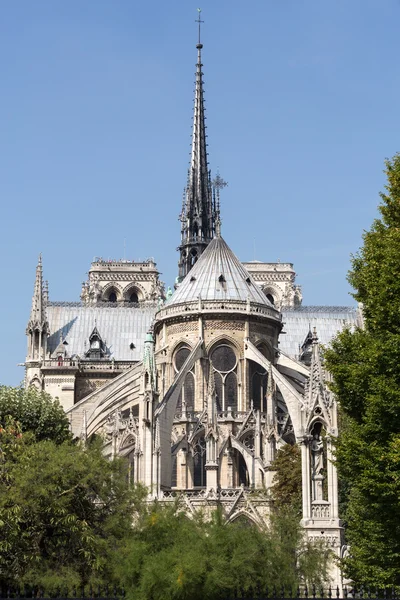 Katedrali Notre Dame de Paris spire ve Doğu tarafında — Stok fotoğraf