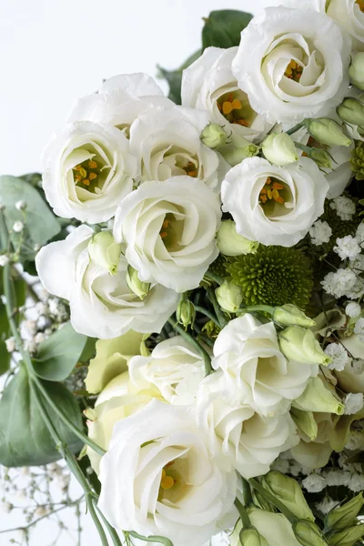 Primer plano de rosas blancas — Foto de Stock