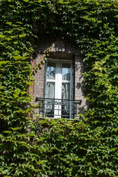 Parijs - oud huis vallende ivy in montmartre. — Stockfoto