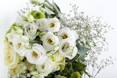 Beyaz güller yakın çekim